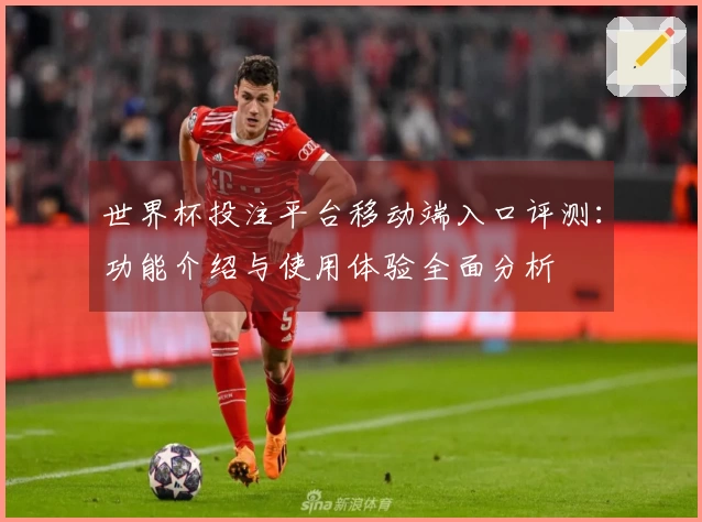 世界杯投注平台移动端入口评测：功能介绍与使用体验全面分析