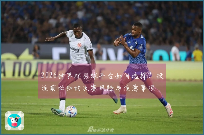 2026世界杯买球平台如何选择？投注前必知的决赛风险与注意事项