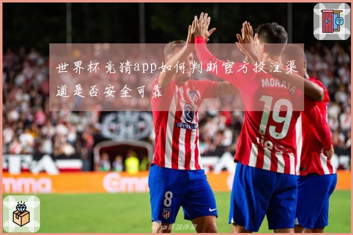 世界杯竞猜app如何判断官方投注渠道是否安全可靠