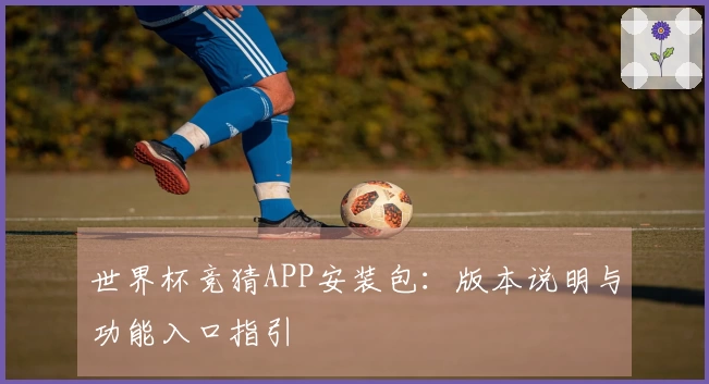 世界杯竞猜APP安装包：版本说明与功能入口指引