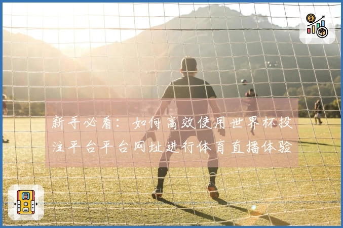 新手必看：如何高效使用世界杯投注平台平台网址进行体育直播体验