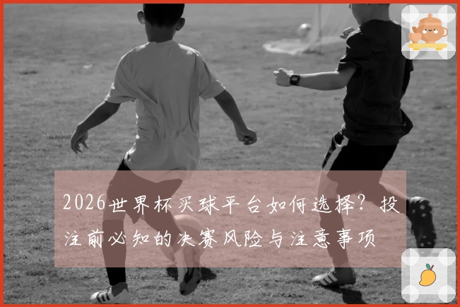 2026世界杯买球平台如何选择？投注前必知的决赛风险与注意事项