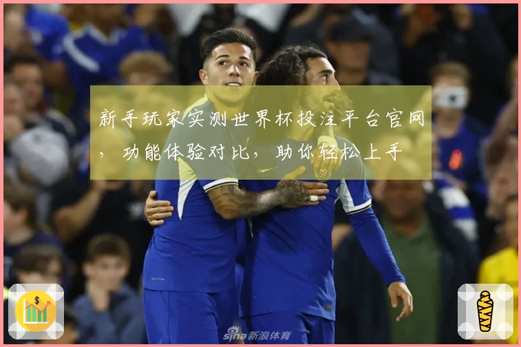 新手玩家实测世界杯投注平台官网，功能体验对比，助你轻松上手