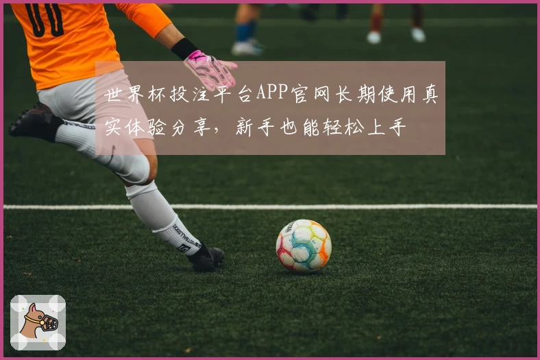 世界杯投注平台APP官网长期使用真实体验分享，新手也能轻松上手