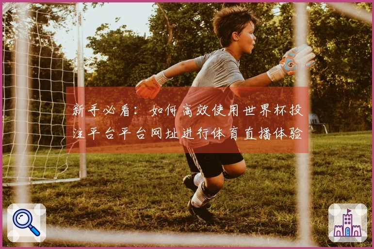 新手必看：如何高效使用世界杯投注平台平台网址进行体育直播体验