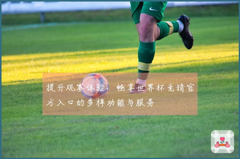 提升观赛体验，畅享世界杯竞猜官方入口的多样功能与服务